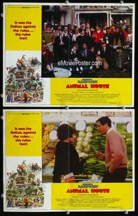 z063 ANIMAL HOUSE 2 movie lobby cards '78 Belushi & cast portrait!