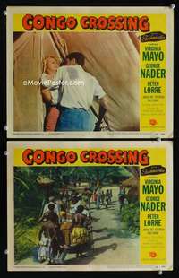 z199 CONGO CROSSING 2 movie lobby cards '56 Virginia Mayo in Africa!