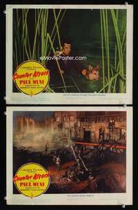 z202 COUNTER-ATTACK 2 movie lobby cards '45 Larry Parks w/dog in WWII!