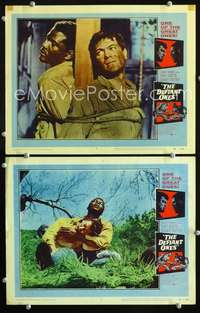 z230 DEFIANT ONES 2 movie lobby cards '58 Tony Curtis, Sidney Poitier