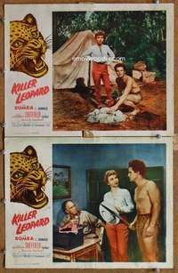 z466 KILLER LEOPARD 2 movie lobby cards '54 Bomba the Jungle Boy!