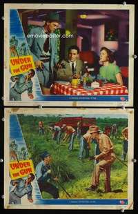 z929 UNDER THE GUN 2 movie lobby cards '51 Richard Conte, Audrey Totter