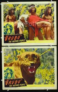 z938 URUBU THE VULTURE PEOPLE 2 movie lobby cards '48 jungles of Brazil!