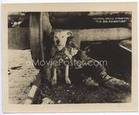 a083 BIG ADVENTURE 8x10 movie lobby card '21 Breezy Eason & cool dog!