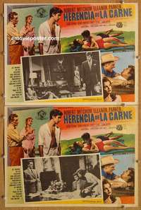 c308 HOME FROM THE HILL 2 Mexican movie lobby cards '60 Robert Mitchum