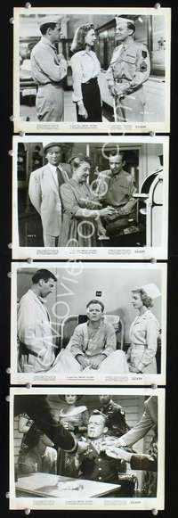 k304 BRIGHT VICTORY 4 8x10 movie stills '51 Arthur Kennedy, Peggy Dow