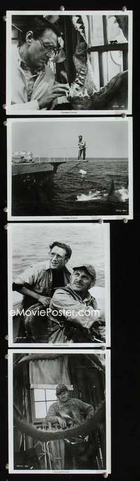 k379 JAWS 4 8x10 movie stills '75 Steven Spielberg Roy Scheider