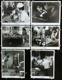 k201 MASH 6 8x10 movie stills '70 Robert Altman, Elliott Gould