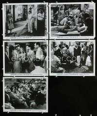 k291 TO HAVE & HAVE NOT 5 deluxe Swedish movie stills '44Bogart,Bacall
