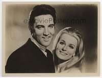 n287 LIVE A LITTLE, LOVE A LITTLE 7.25x9.5 movie still '68 Elvis Presley