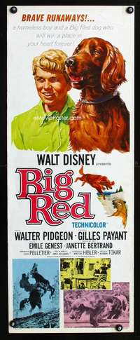 s028 BIG RED insert movie poster '62 Disney, Pigeon, Irish Setter!