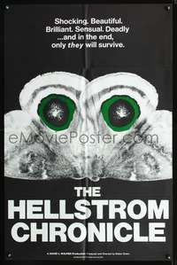 t290 HELLSTROM CHRONICLE one-sheet movie poster '71 cool huge moth close up image!