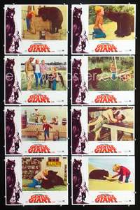 v213 GENTLE GIANT 8 movie lobby cards '67 Dennis Weaver & big bear!