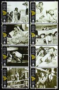 v314 LIVE FOR LIFE 8 movie lobby cards '68 Yves Montand, Claude Lelouch