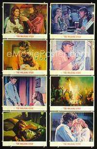 v590 WALKING STICK 8 movie lobby cards '70 David Hemmings, Eggar