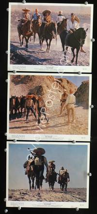 y524 REWARD 3 color 8x10 movie stills '65 Max Von Sydow, Mimieux