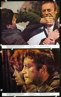 y585 SITTING TARGET 2 color 8x10 movie stills '72 Oliver Reed