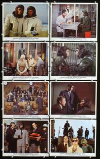 y005 ESCAPE FROM THE PLANET OF THE APES 8 English Front of House movie lobby cards '71