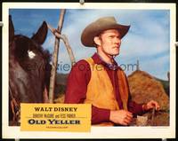z596 OLD YELLER movie lobby card '57 Walt Disney, great Chuck Connors close up!