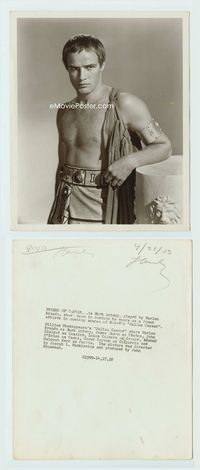 1b159 JULIUS CAESAR deluxe 8x10 still '53 great brooding close up of Marlon Brando as Marc Antony!