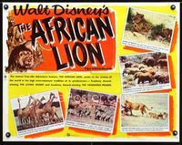 1c286 AFRICAN LION half-sheet movie poster '55 Walt Disney jungle safari!