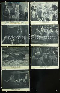1d019 BIG DOLL HOUSE 7 movie lobby cards '71 Pam Grier, Jack Hill sexploitation classic!
