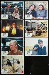 1d033 DAYS OF HEAVEN 7 movie lobby cards '78 Richard Gere, Brooke Adams, Linda Manz, Terrence Malick