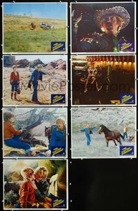 1d041 ELECTRIC HORSEMAN 7 LCs '79 Robert Redford, Jane Fonda, Valerie Perrine, Sydney Pollack