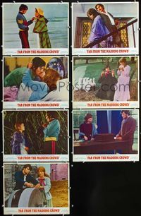 1d048 FAR FROM THE MADDING CROWD 7 movie lobby cards '68 Julie Christie, Terence Stamp, Peter Finch