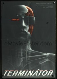 1e195 TERMINATOR Czech 23x32 poster '90 best art of cyborg Arnold Schwarzenegger by Frilan Jasak!
