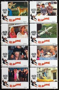 1k485 L'ANIMAL 8 Spanish/U.S. movie lobby cards '77 Jean-Paul Belmondo, Raquel Welch, Dany Saval
