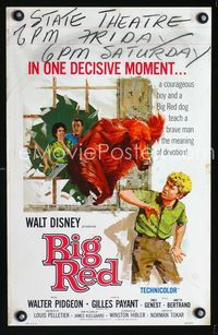 2a031 BIG RED WC '62 Disney, Walter Pigeon, artwork of Irish Setter dog jumping through window!
