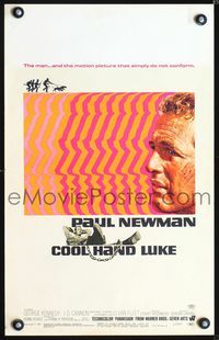 2a062 COOL HAND LUKE window card '67 Paul Newman prison escape classic, cool art by James Bama!