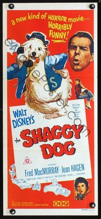2f396 SHAGGY DOG Australian daybill movie poster R70s Disney, Fred MacMurray, sheep dog fantasy!