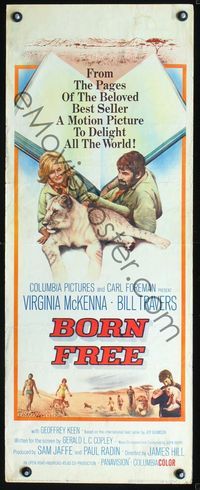 2h073 BORN FREE insert movie poster '66 great image of Virginia McKenna & Bill Travers with lion!