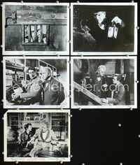 2q496 HAUNTED STRANGLER 5 8x10s '58 creepy Boris Karloff marked their death by their wild beauty!