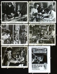 2q468 REVENGE OF FRANKENSTEIN 6 8x10s '58 Peter Cushing, Eunice Gayson, directed by Terence Fisher!