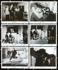 2q474 TEENAGE ZOMBIES 6 8x10s '59 fiendish sadistic horror, cool images of laboratory & wacky ape!