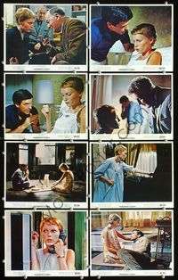 2q281 ROSEMARY'S BABY 8 color 8x10 movie stills '68 Roman Polanski, Mia Farrow, John Cassavetes