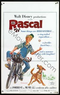 2t351 RASCAL window card poster '69 Walt Disney, great art of Bill Mumy on bike with raccoon & dog!