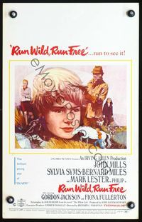 2t363 RUN WILD RUN FREE window card poster '69 cool art of John Mills, Mark Lester & Sylvia Syms!
