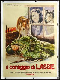 2z097 COURAGE OF LASSIE linen Italian 1p R50s art of Liz Taylor & classic canine with hurt soldier!