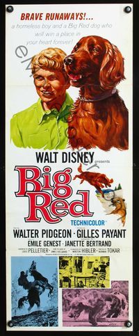 3j350 BIG RED insert poster '62 Disney, Walter Pigeon, artwork of boy and his Irish Setter dog!