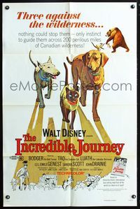 3r474 INCREDIBLE JOURNEY one-sheet movie poster R74 great adventure art of Walt Disney animals!