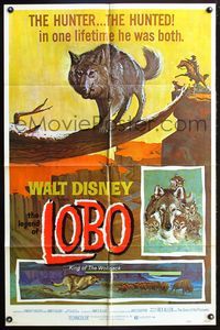3r531 LEGEND OF LOBO 1sh R72 Walt Disney, King of the Wolfpack, cool artwork of wolf being hunted!
