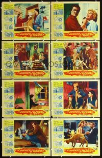 3t089 BUCKET OF BLOOD 8 movie lobby cards '59 Roger Corman, AIP, wacky horror scenes!
