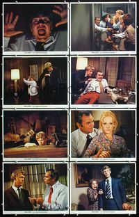 3t570 WILLARD 8 movie lobby cards '71 Bruce Davison with pet rat Ben, Sondra Locke, Ernest Borgnine