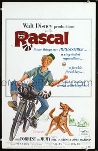 3v103 RASCAL window card '69 Walt Disney, great art of Bill Mumy on bike with raccoon & dog!