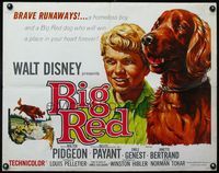 3x293 BIG RED half-sheet poster '62 Disney, different close up art of boy & his Irish Setter dog!