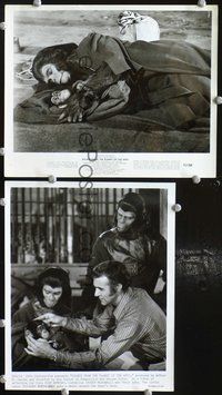 3y408 ESCAPE FROM THE PLANET OF THE APES 2 8x10 stills '71 two cool images of Zira with her baby!